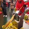 IMG_7754