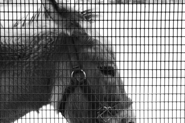 IMG_3564bw