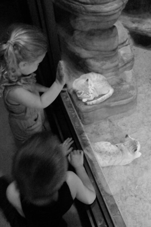 IMG_3619bw