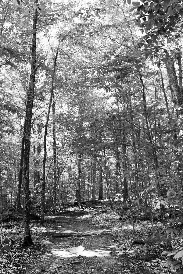 IMG_3679bw