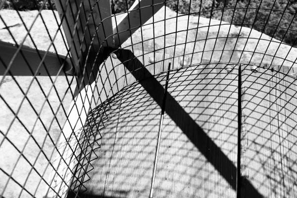 IMG_3757bw