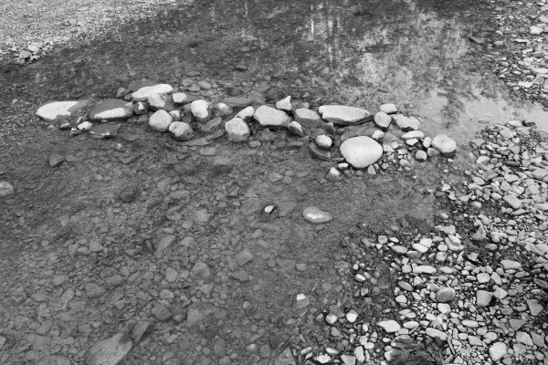 IMG_6311bw