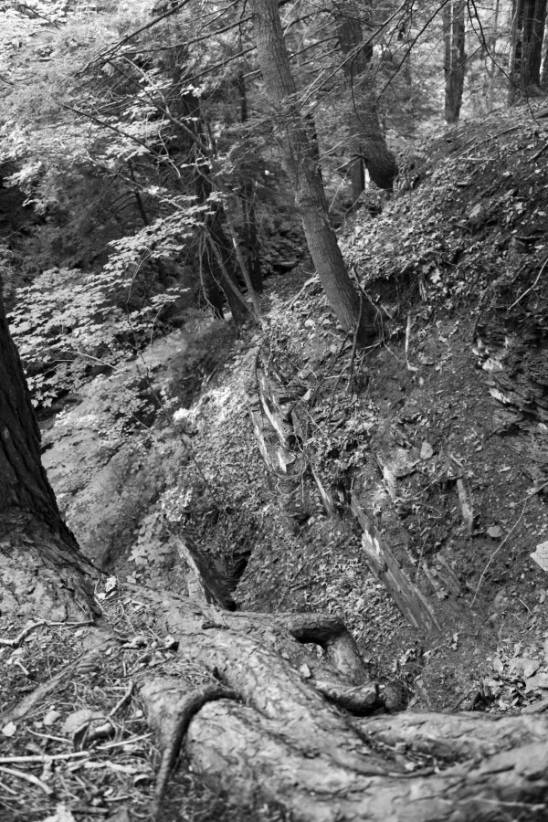 IMG_6346bw