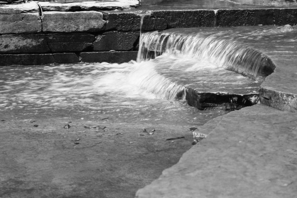 IMG_6473bw
