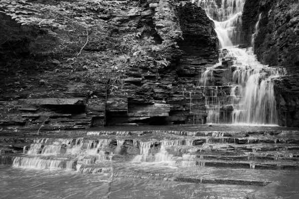 IMG_6483bw
