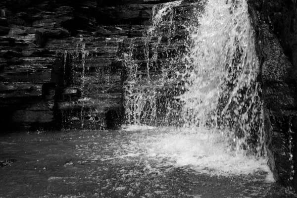 IMG_6503bw