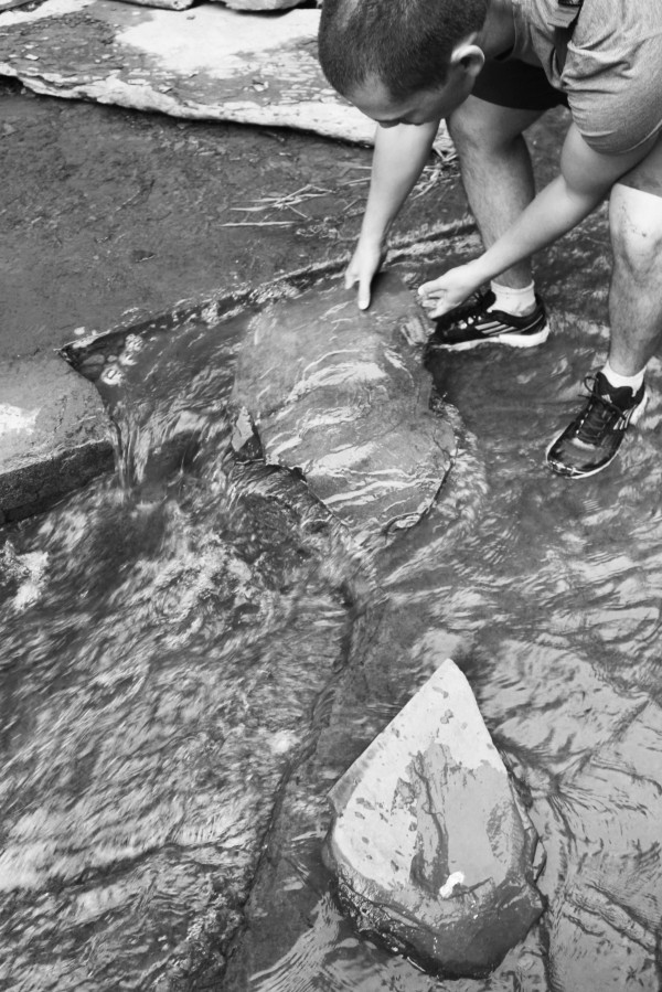 IMG_6535bw